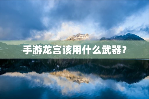 手游龙宫该用什么武器？