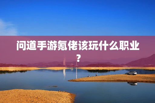 问道手游氪佬该玩什么职业？