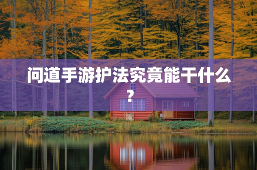 问道手游护法究竟能干什么？