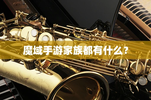 魔域手游家族都有什么？