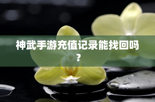 神武手游充值记录能找回吗？