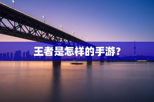 王者是怎样的手游？