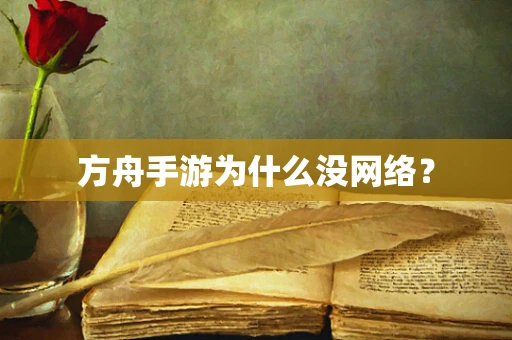 方舟手游为什么没网络？