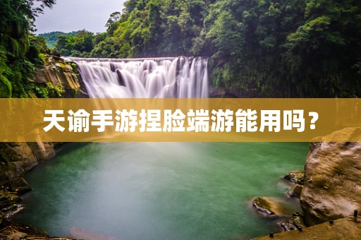 天谕手游捏脸端游能用吗？