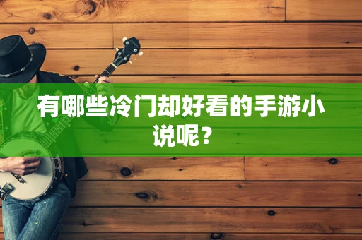 有哪些冷门却好看的手游小说呢？