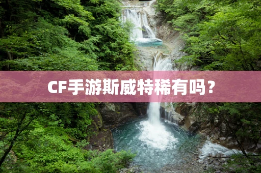 CF手游斯威特稀有吗？