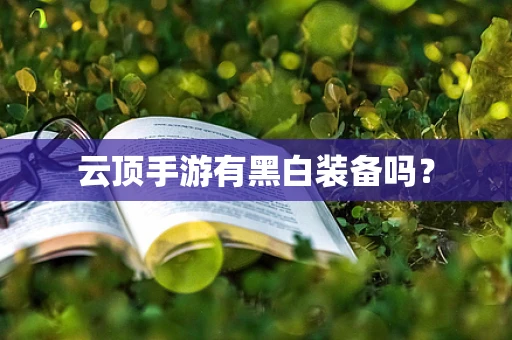 云顶手游有黑白装备吗？