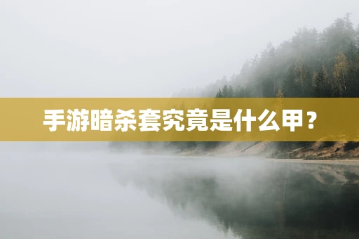 手游暗杀套究竟是什么甲？