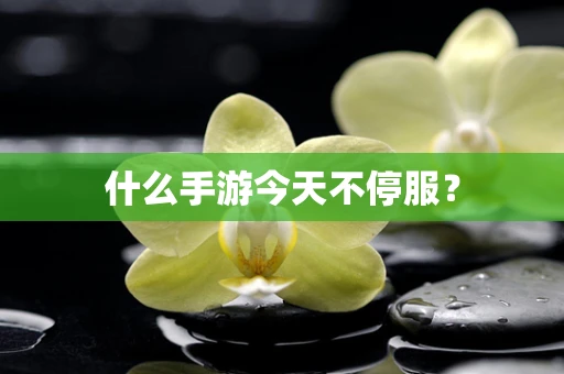 什么手游今天不停服？