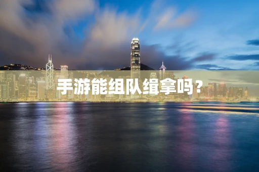 手游能组队缉拿吗？