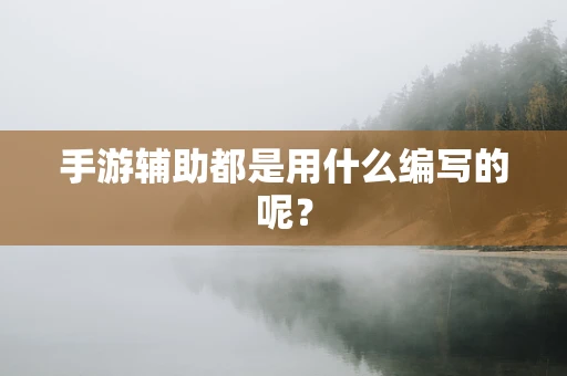 手游辅助都是用什么编写的呢？