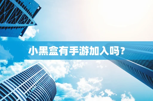 小黑盒有手游加入吗？