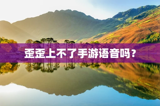歪歪上不了手游语音吗？
