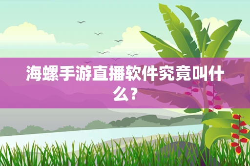 海螺手游直播软件究竟叫什么？