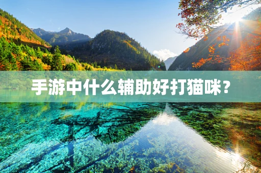 手游中什么辅助好打猫咪？