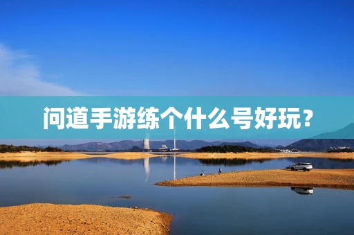 问道手游练个什么号好玩？