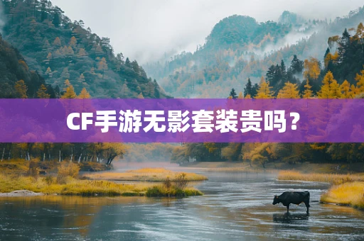 CF手游无影套装贵吗？