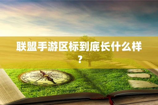 联盟手游区标到底长什么样？