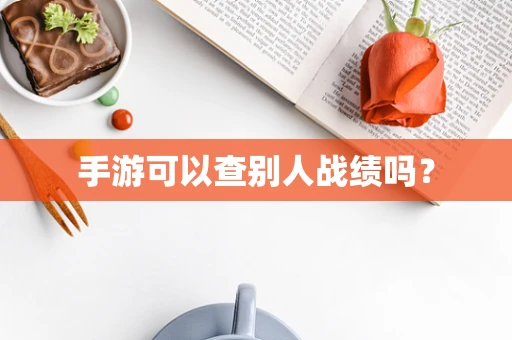 手游可以查别人战绩吗？