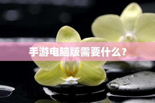 手游电脑版需要什么？