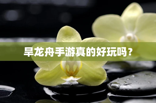 旱龙舟手游真的好玩吗？