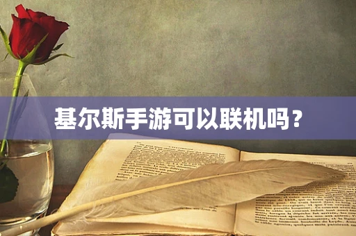 基尔斯手游可以联机吗？