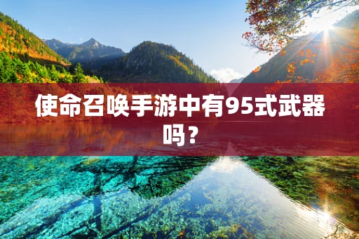 使命召唤手游中有95式武器吗？