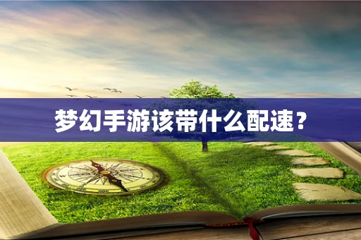 梦幻手游该带什么配速？