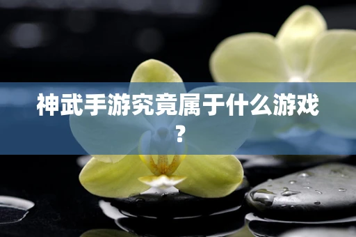 神武手游究竟属于什么游戏？