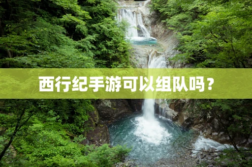 西行纪手游可以组队吗？