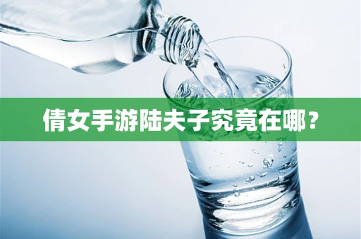倩女手游陆夫子究竟在哪？