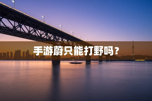 手游蔚只能打野吗？