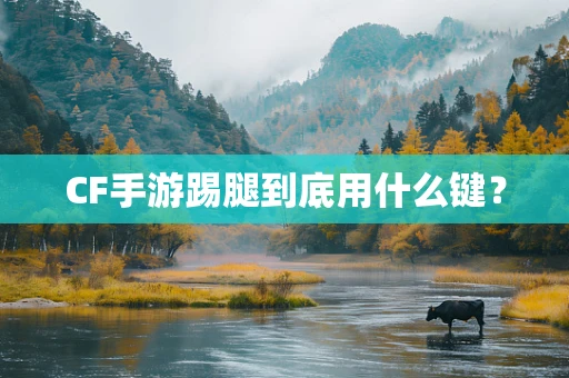 CF手游踢腿到底用什么键？