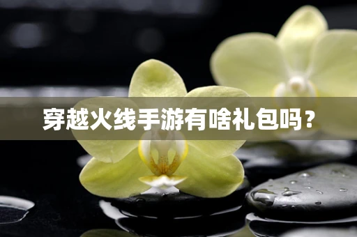 穿越火线手游有啥礼包吗？