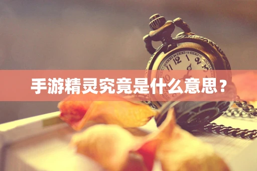 手游精灵究竟是什么意思？