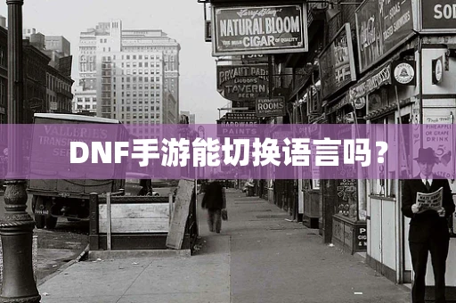 DNF手游能切换语言吗？