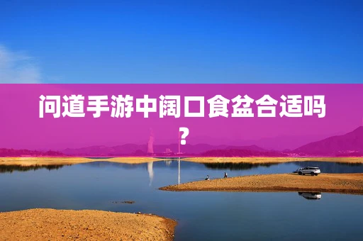 问道手游中阔口食盆合适吗？