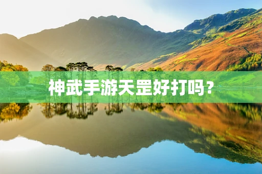 神武手游天罡好打吗？