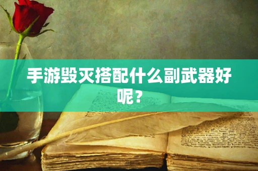 手游毁灭搭配什么副武器好呢？