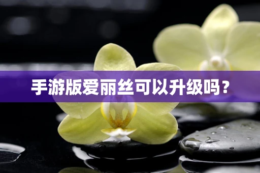 手游版爱丽丝可以升级吗？