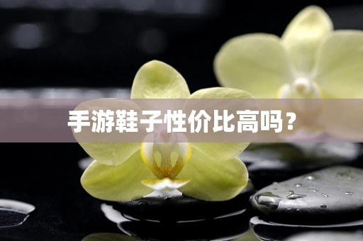 手游鞋子性价比高吗？