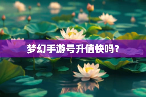 梦幻手游号升值快吗？