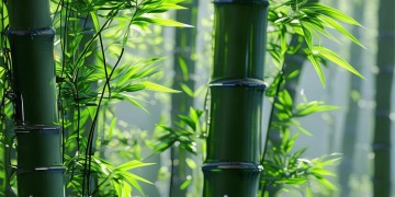 熊猫手游平台合法吗？